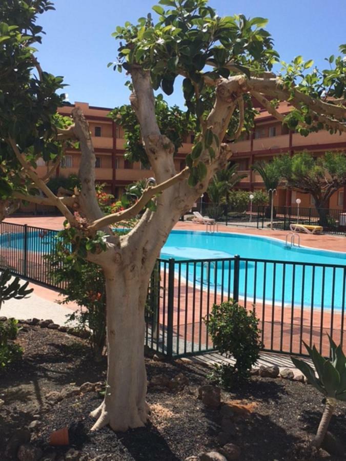 Casa Lilly Daire Parque Holandes Dış mekan fotoğraf